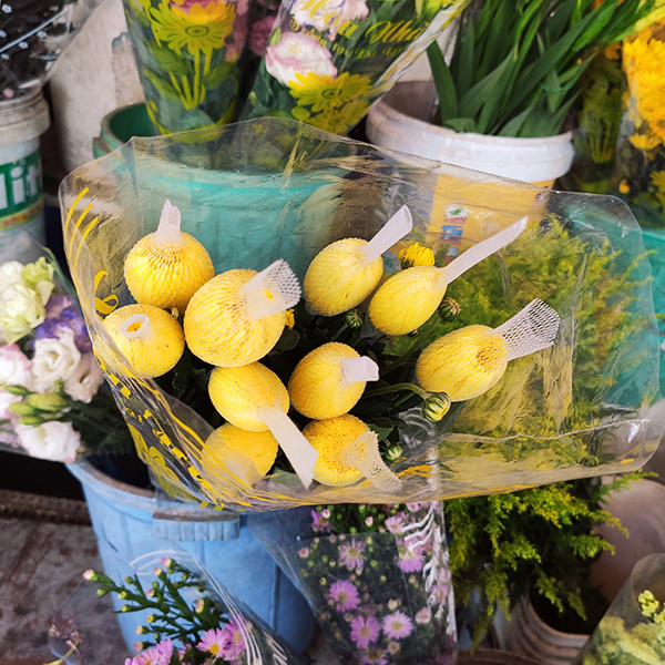 Hoa cúc lưới (vàng)